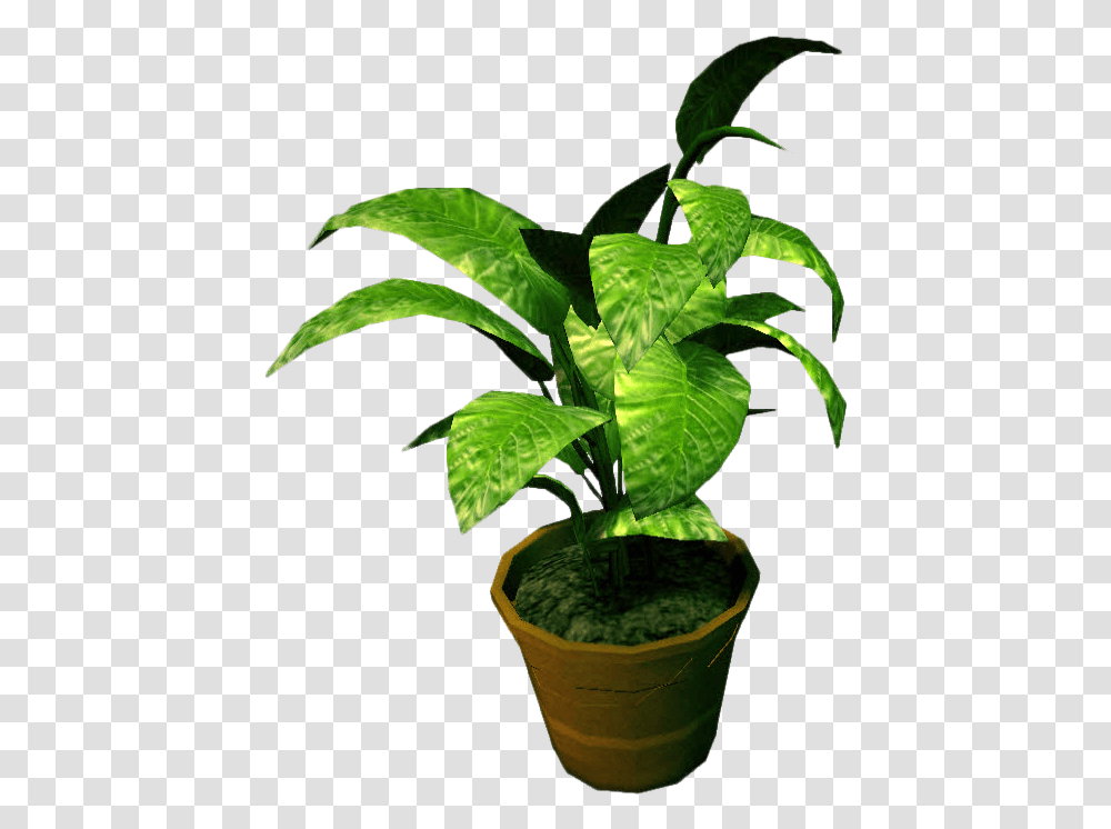 Potted Plants Clipart Background Potted Plants, Leaf, Aloe, Green, Tree Transparent Png