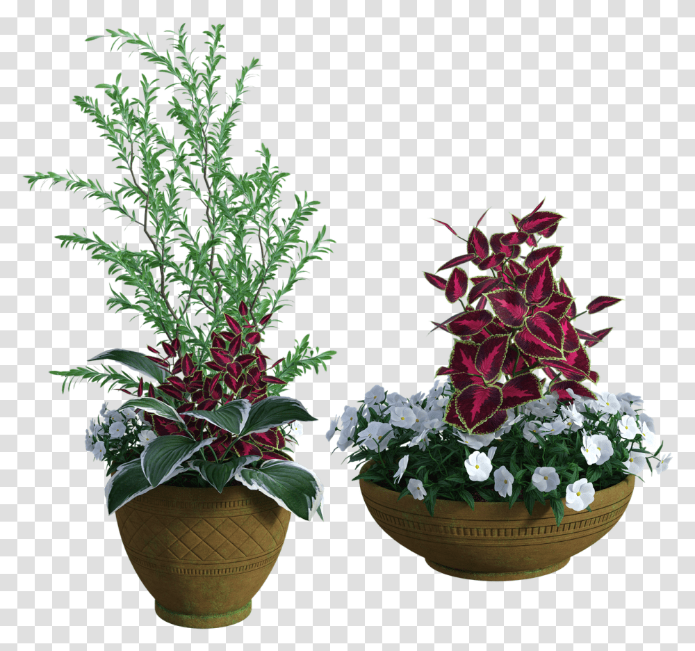 Potted Plants Green Garden Grow Pots Flowers Houseplant, Tabletop, Furniture, Blossom, Leaf Transparent Png