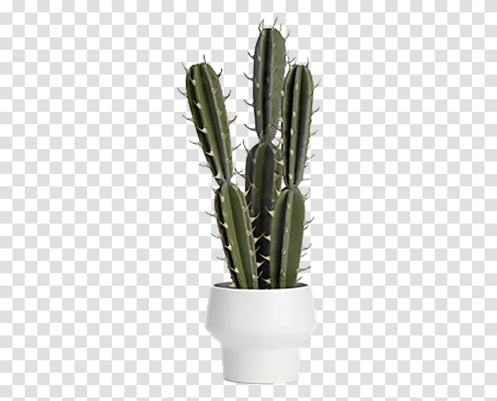 Potted Spiked Cactus Potted Cactus, Plant, Wedding Cake, Dessert, Food Transparent Png