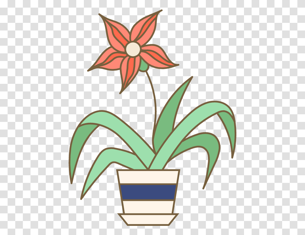 Potted Star Plant Graphic Picmonkey Graphics Flowerpot, Art, Blossom, Floral Design, Pattern Transparent Png