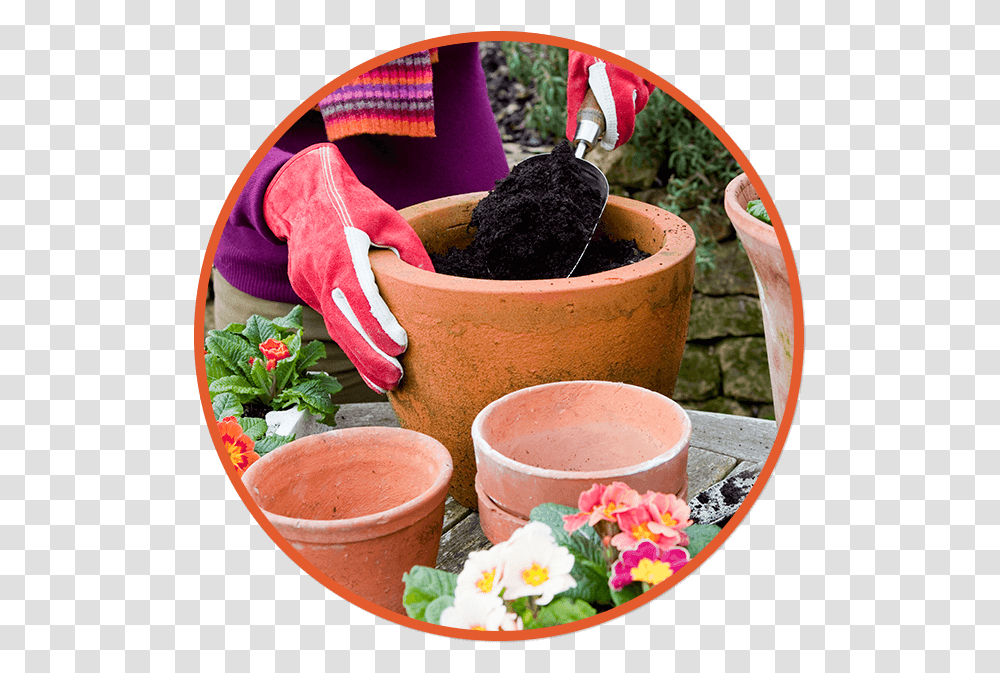 Potting Services, Bowl, Flower, Plant, Blossom Transparent Png