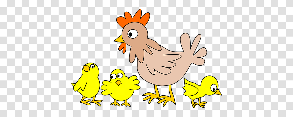 Poultry Animals, Bird, Fowl, Chicken Transparent Png