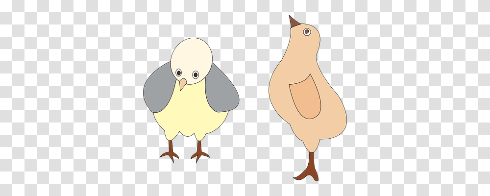 Poultry Animals, Bird, Fowl Transparent Png