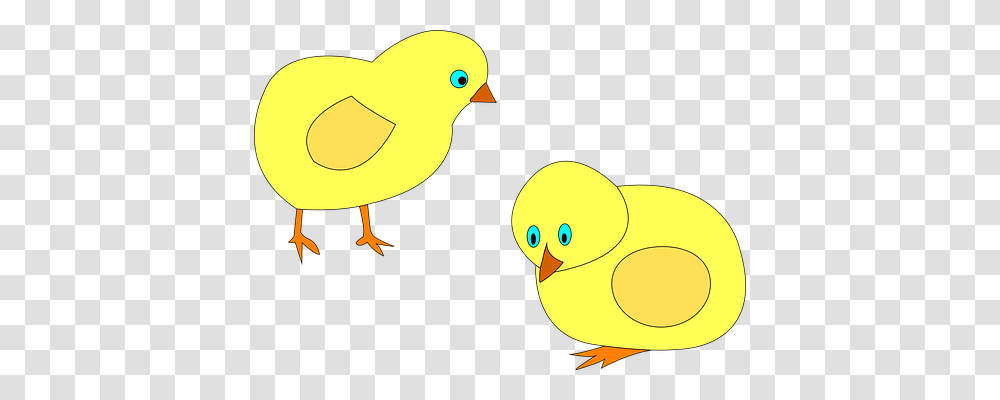 Poultry Animals, Bird, Fowl, Canary Transparent Png