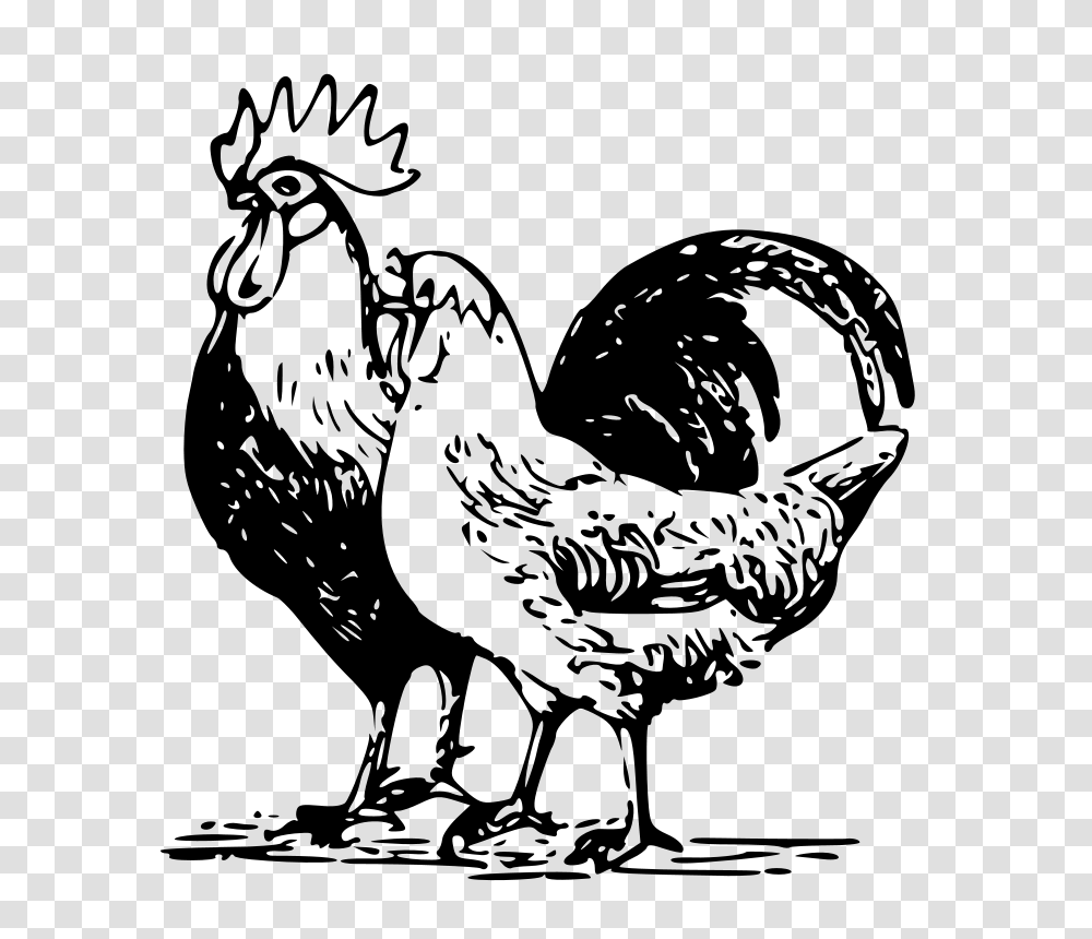 Poultry, Animals, Gray, World Of Warcraft Transparent Png