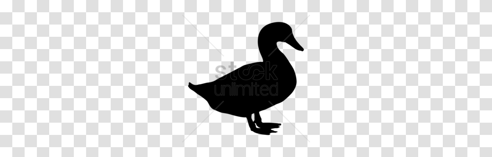 Poultry Clipart, Tool Transparent Png