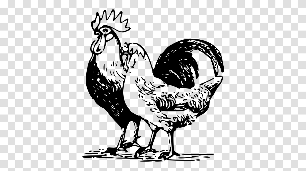 Poultry Drawing Poultry Clipart, Gray, World Of Warcraft Transparent Png