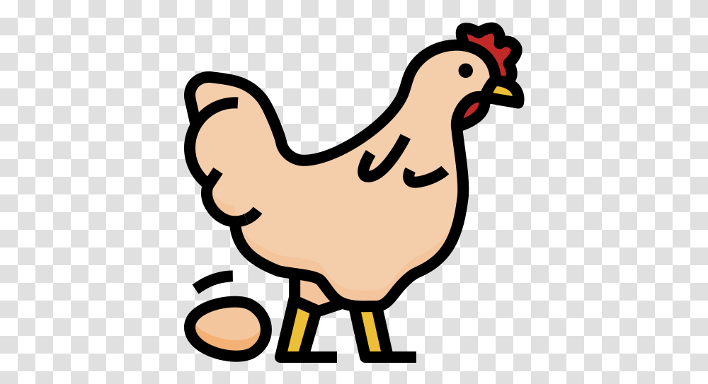 Poultry Free Icons Cartoon Animals Vector Icon Design Poultry, Bird, Fowl, Chicken, Hen Transparent Png