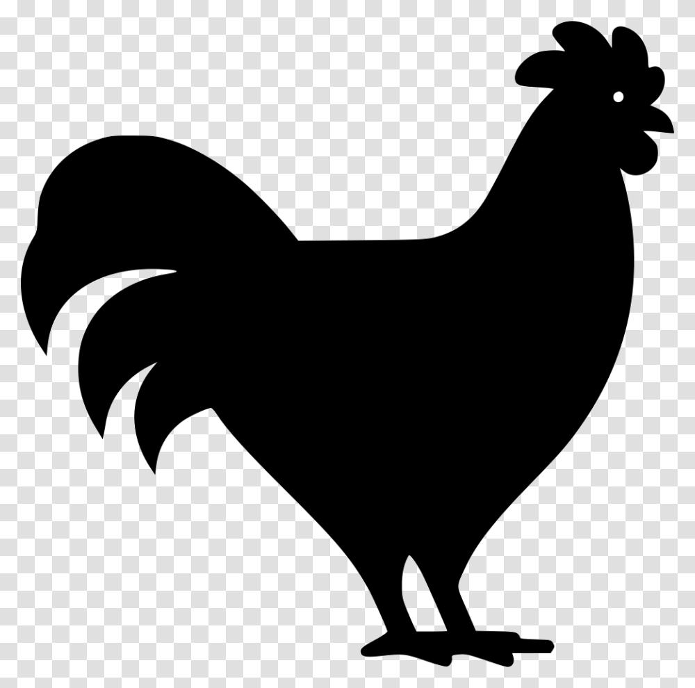 Poultry Icon, Fowl, Bird, Animal, Stencil Transparent Png