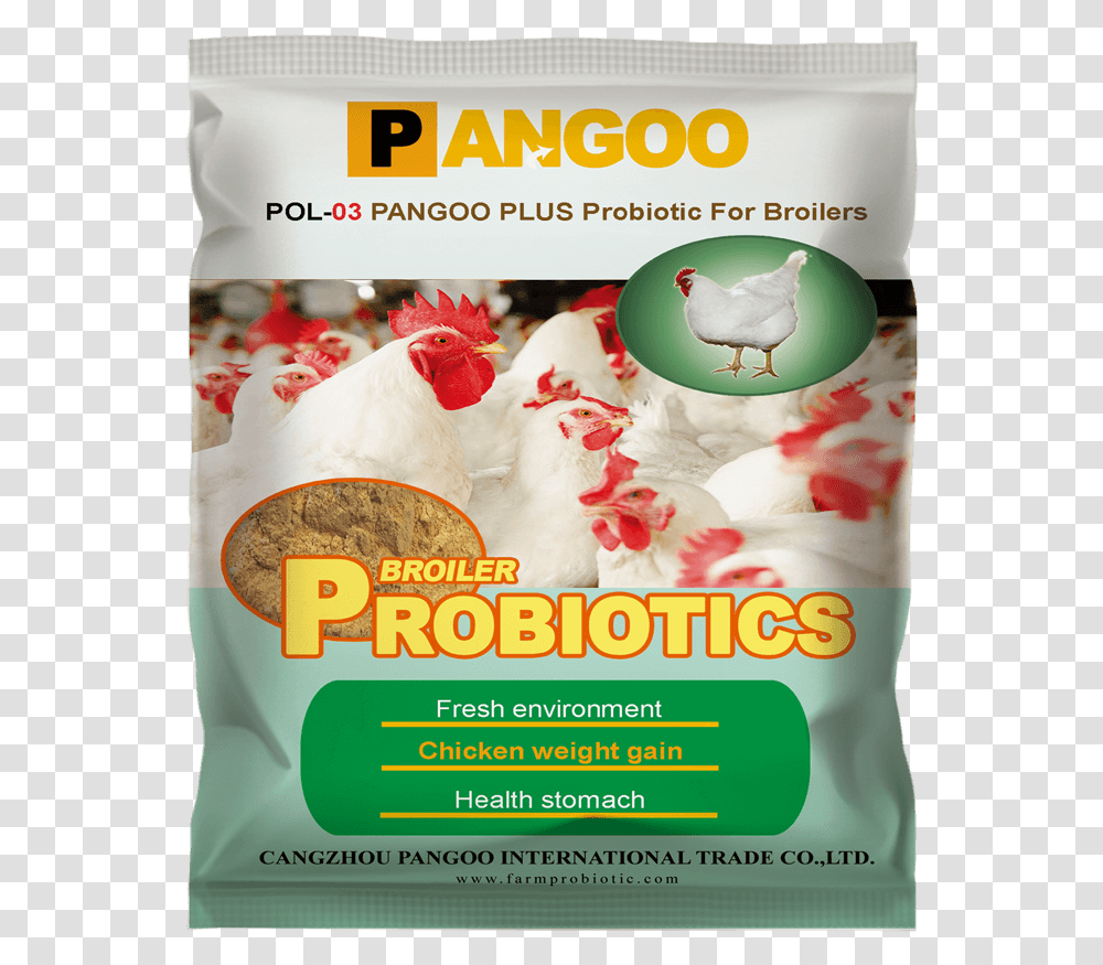 Poultry Probiotics For Broiler Probiotic Pangoo, Fowl, Bird, Animal, Food Transparent Png
