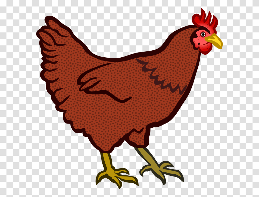 Poultryartlivestock Hen Clipart, Chicken, Fowl, Bird, Animal Transparent Png