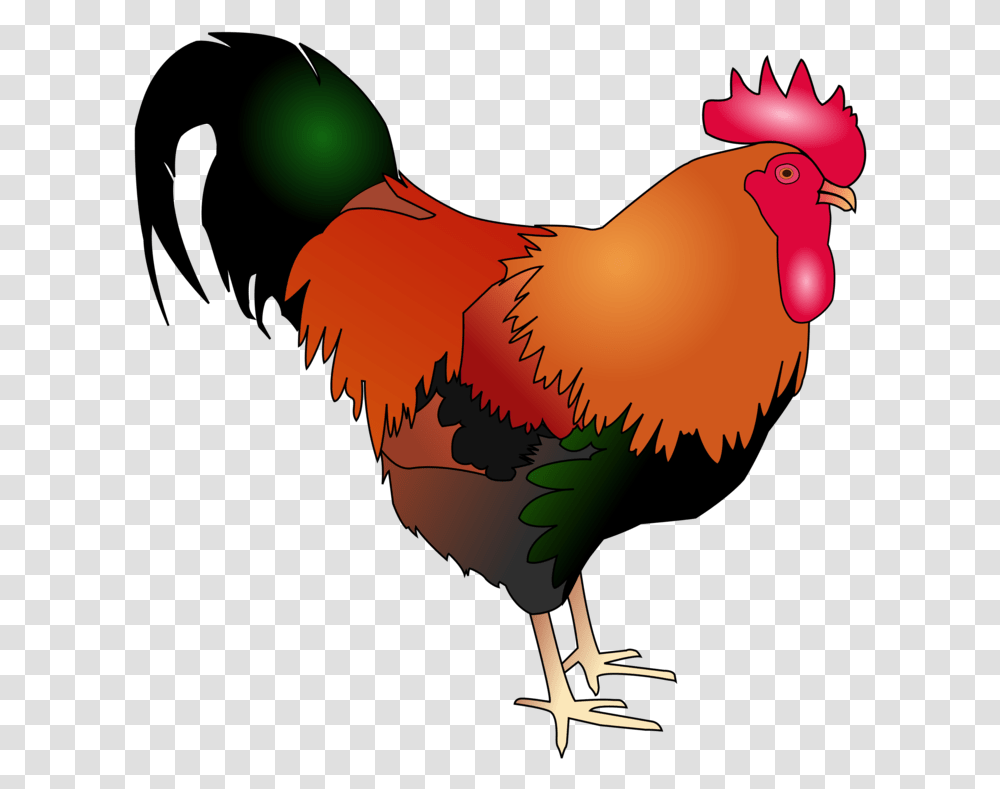Poultrylivestockfowl Rooster Art Chicken Cartoon, Bird, Animal, Cock Bird, Horse Transparent Png