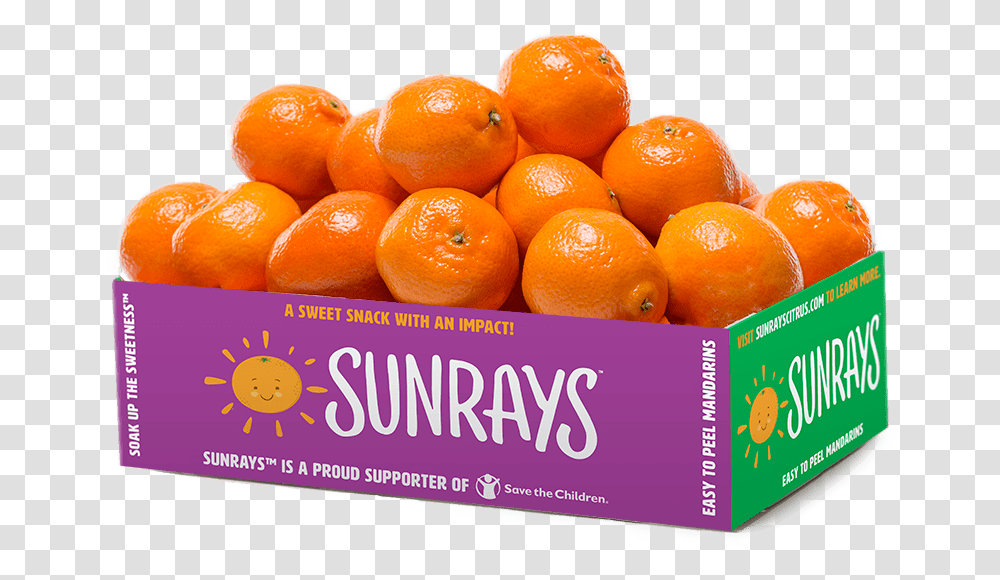 Pound Box Of Sunrays Clementines Sunrays Clementine, Citrus Fruit, Plant, Food, Orange Transparent Png
