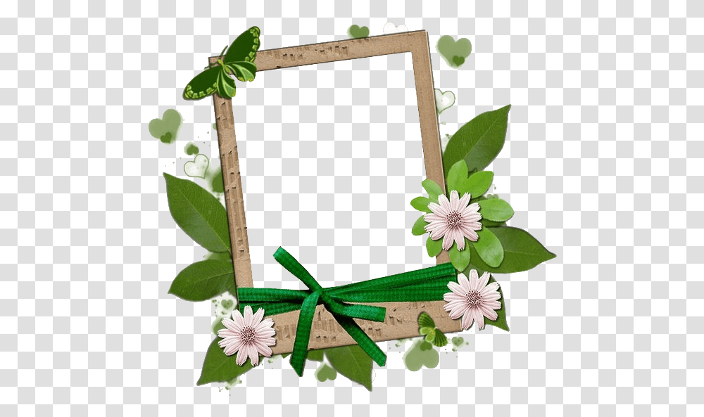 Pour Vos Cras Clipart Et Image Cadre, Plant, Flower, Blossom, Leaf Transparent Png