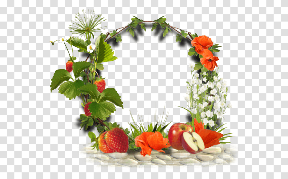 Pour Vos Cras Tubes Cadre Fruit, Plant, Flower, Blossom Transparent Png