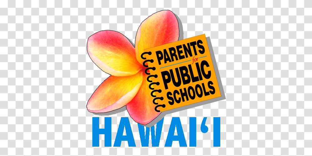 Pps Hawaii Ensuring All Students Have Access To Quality Girly, Petal, Flower, Plant, Fruit Transparent Png