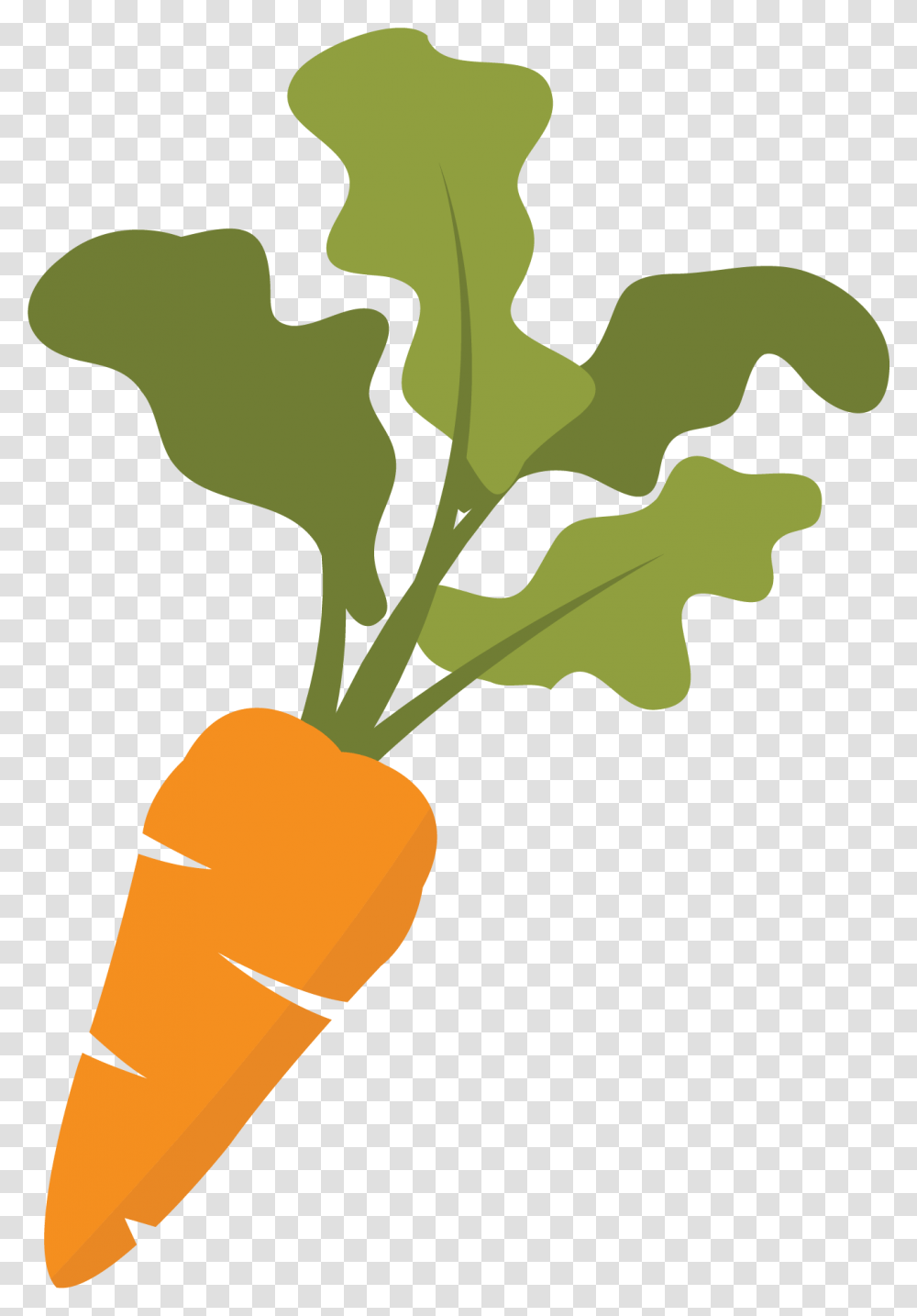 Ppt, Plant, Vegetable, Food, Carrot Transparent Png