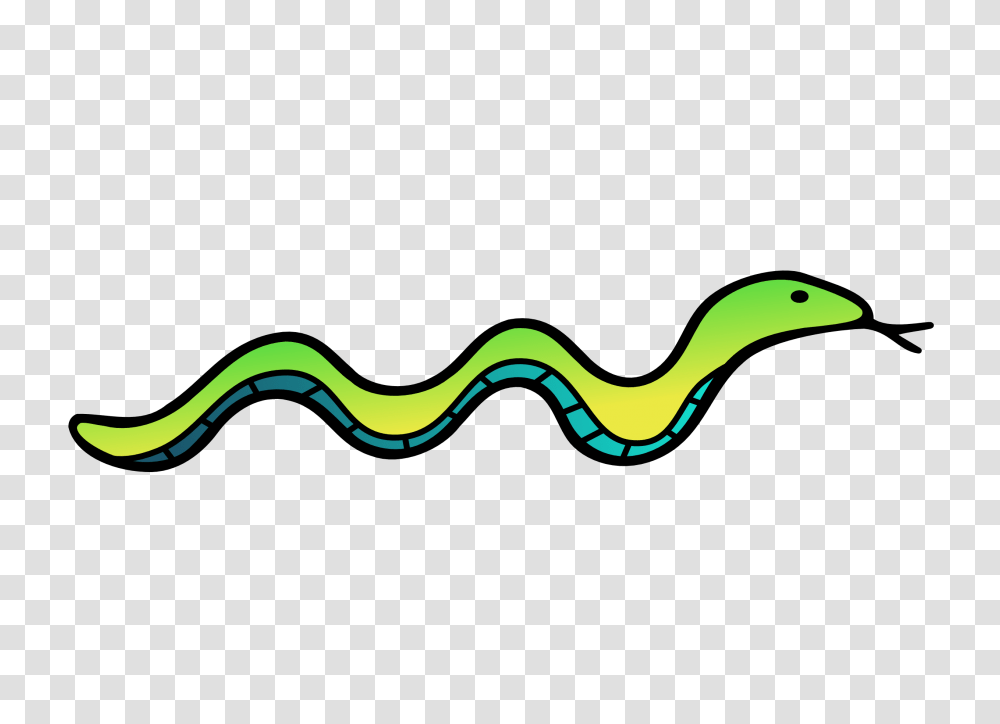 Practitioner, Light, Snake, Reptile, Animal Transparent Png