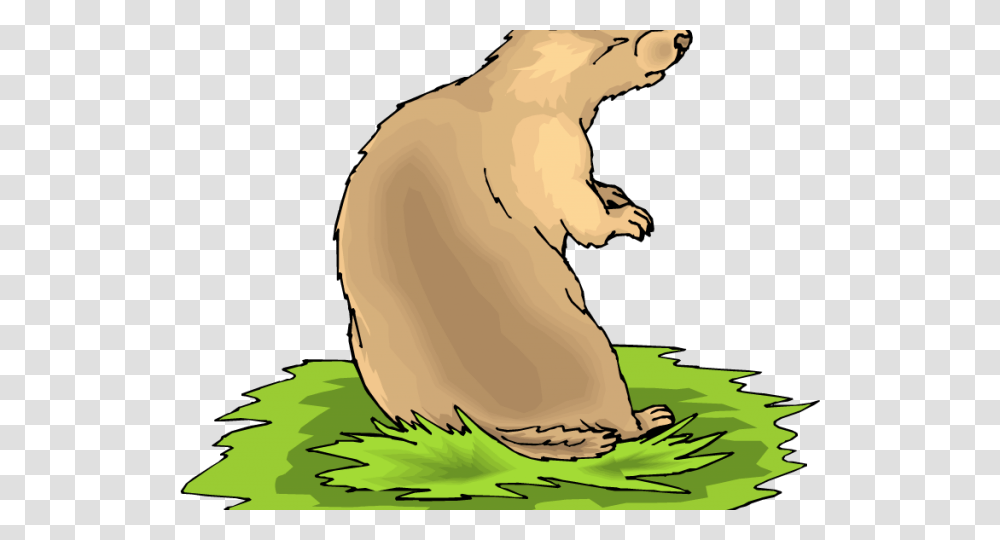 Prairie Dog Clipart Marmot, Rodent, Mammal, Animal, Wildlife Transparent Png