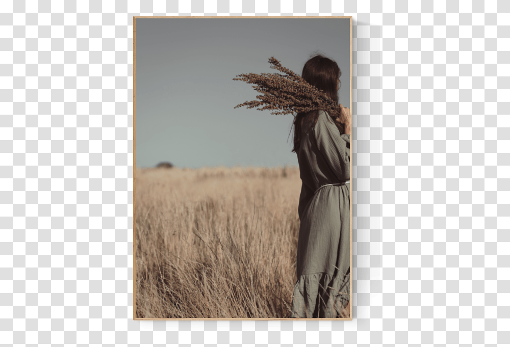 Prairie Grass, Nature, Grassland, Outdoors, Field Transparent Png