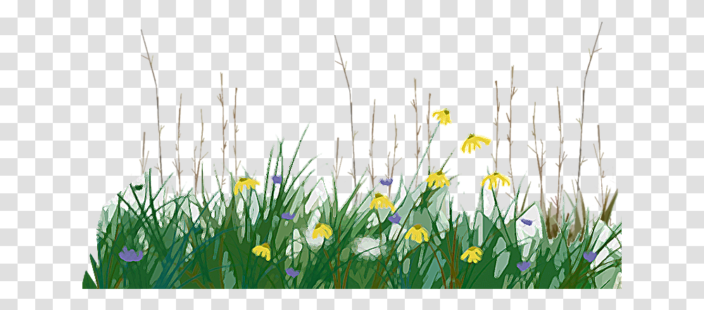 Prairie Nextcc Temperate Grassland, Plant, Flower, Blossom, Iris Transparent Png