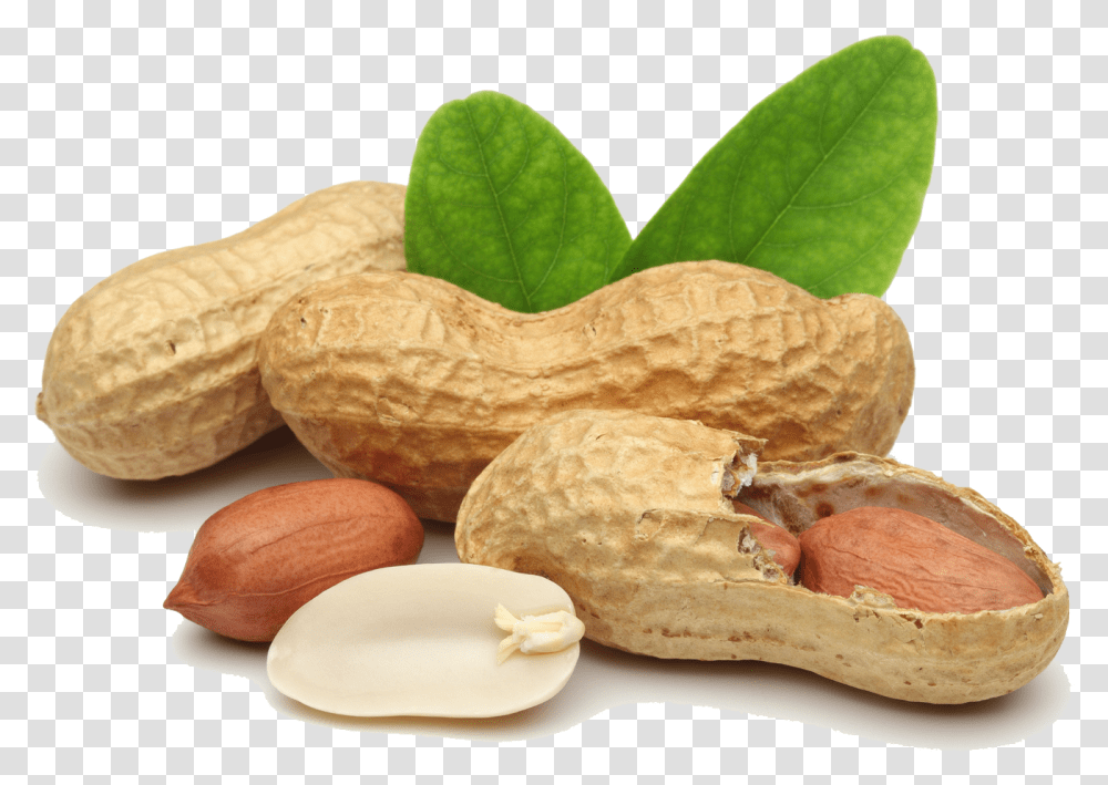 Praline Peanut Legume Dried Fruit Peanuts Image, Plant, Vegetable, Food, Bread Transparent Png