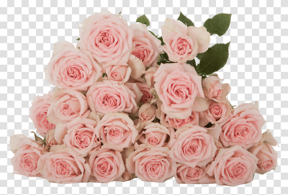 Prana Subati Group Spray Of Roses, Plant, Flower, Blossom, Flower Bouquet Transparent Png