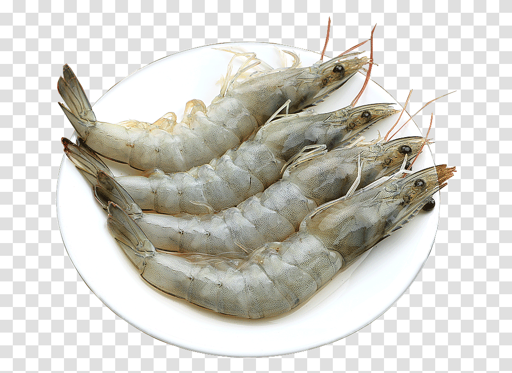 Prawn Fresh Seafood Seafood Qingdao Super Large Frozen Caridean Shrimp, Sea Life, Animal, Meal, Dish Transparent Png