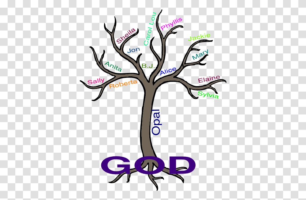 Prayer Tree, Plant, Flower, Blossom Transparent Png