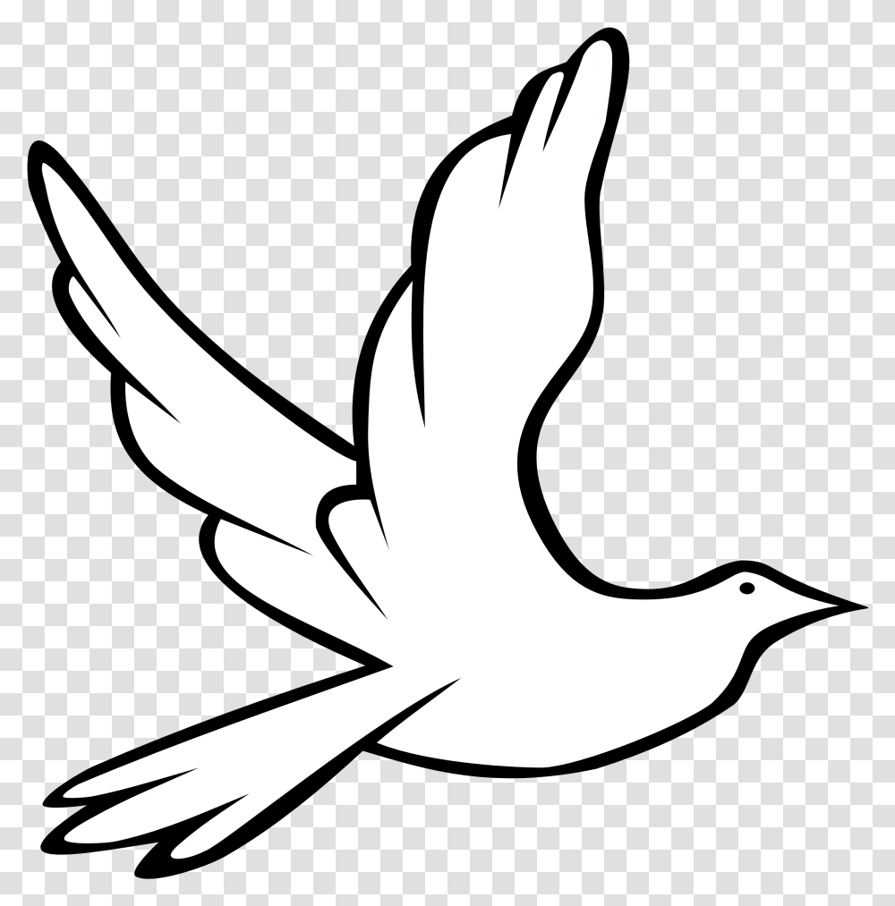 Praying Hands Drawing Easy, Bird, Animal, Flying, Dove Transparent Png