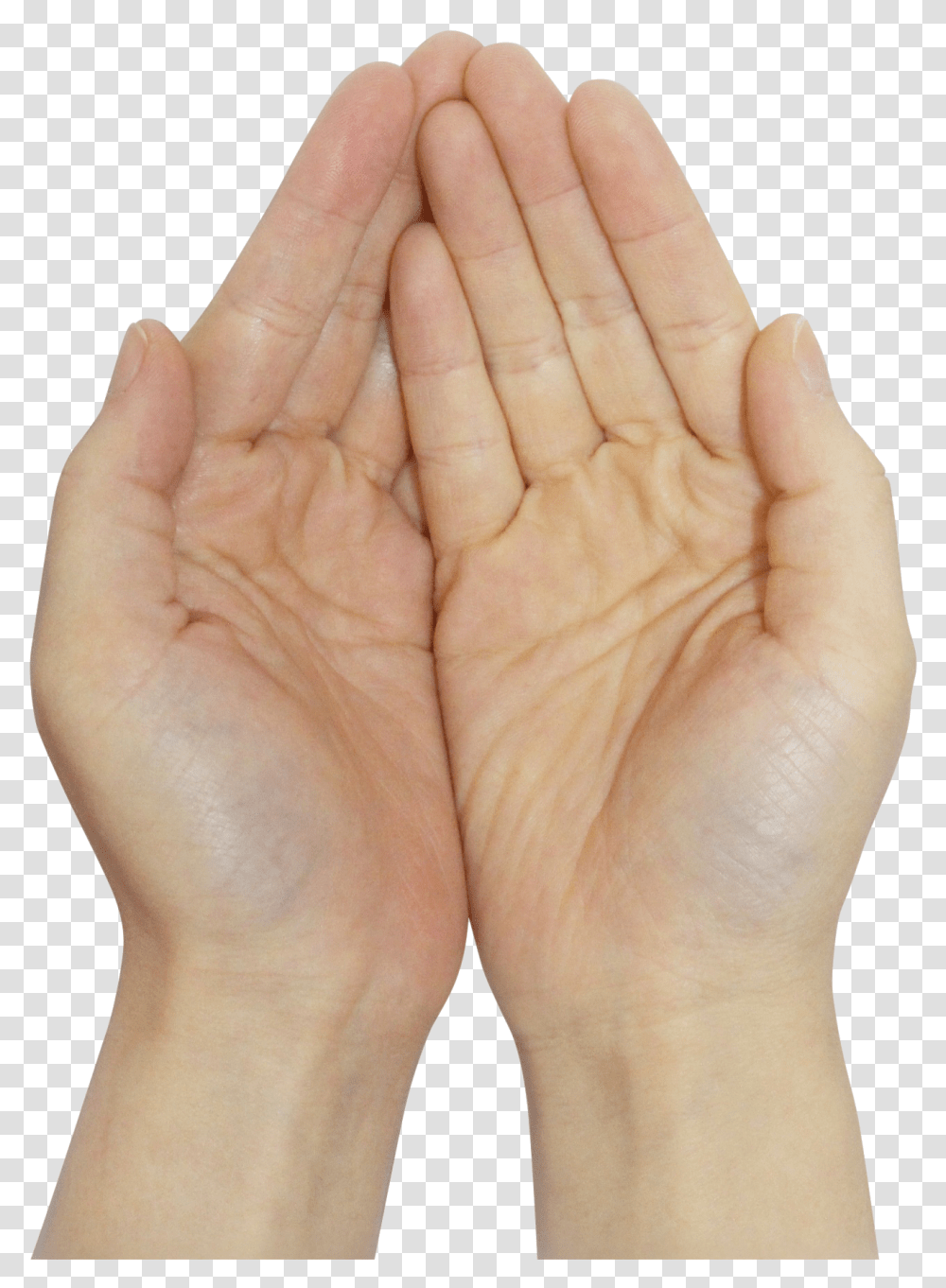 Praying Hands Image Pray Hand, Person, Human, Wrist, Finger Transparent Png
