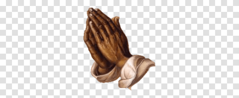 Praying Hands Prayer Corvonts Praying Hands Images Hd, Worship, Person, Human, Finger Transparent Png