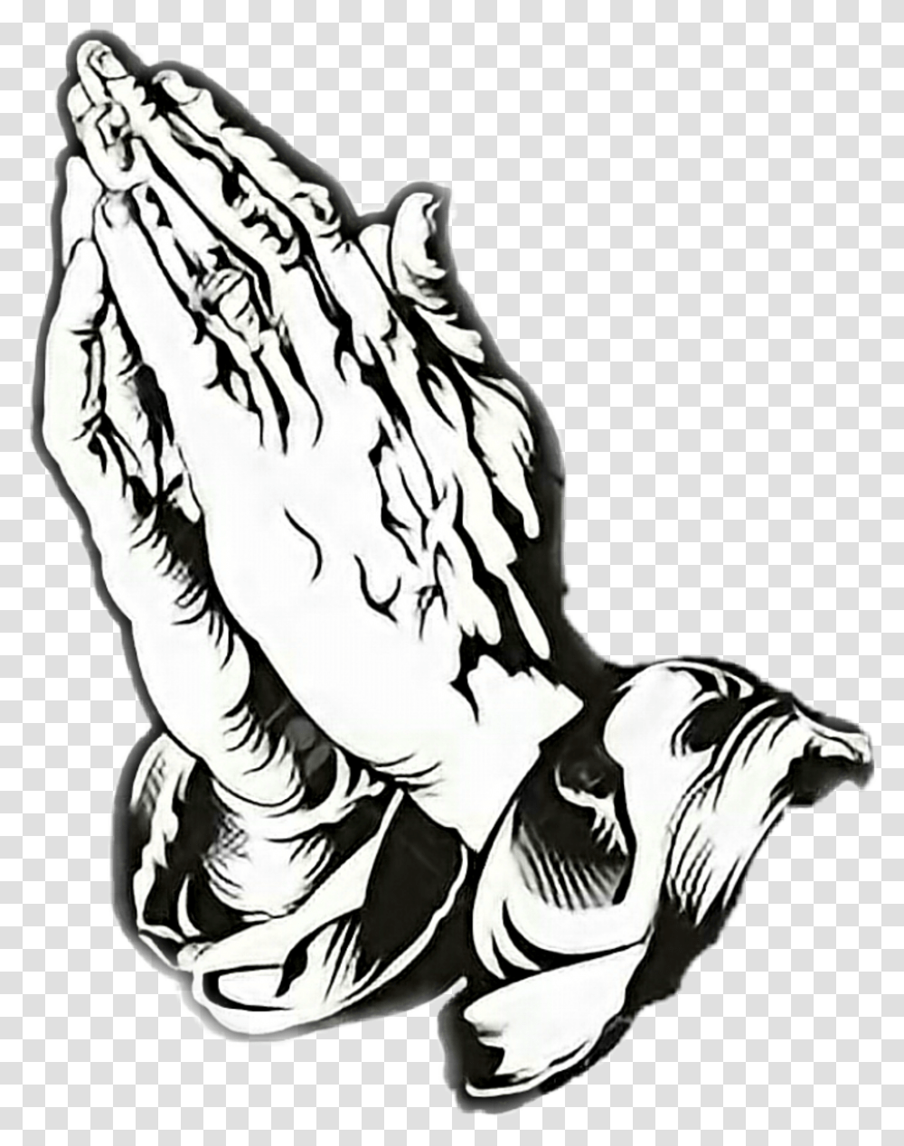 Praying Hands Praying Hands Vector, Tiger, Wildlife, Mammal, Animal Transparent Png