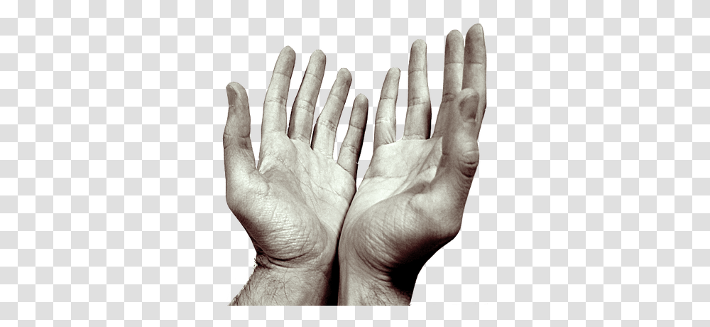 Praying Hands, Religion, Finger, Person, Human Transparent Png