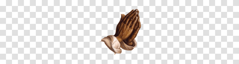 Praying Hands, Religion, Person, Invertebrate, Animal Transparent Png