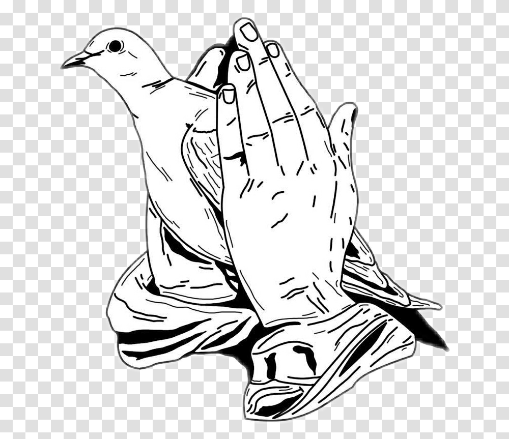 Praying Hands With Dove, Person, Drawing, Animal Transparent Png
