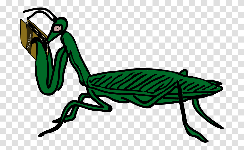 Praying Mantis Boekhout On Behance, Grasshopper, Insect, Invertebrate, Animal Transparent Png