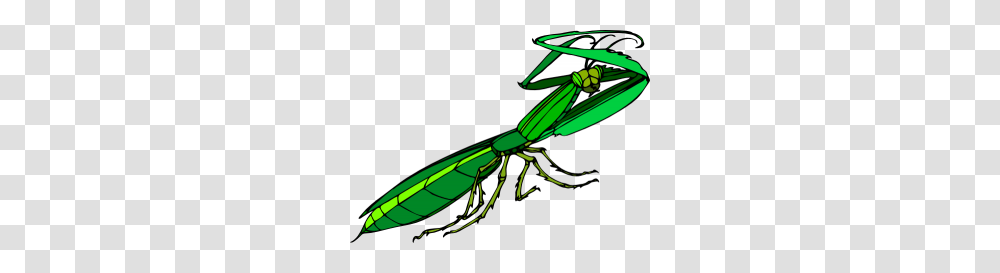 Praying Mantis Clip Art Cartoon Praying Mantis Clip Art, Insect, Invertebrate, Animal, Grasshopper Transparent Png