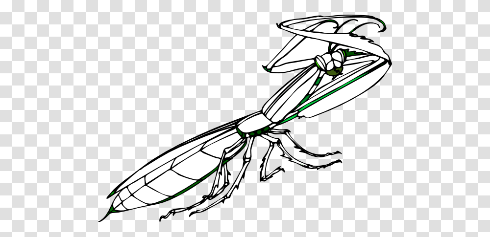 Praying Mantis Clip Art, Insect, Invertebrate, Animal, Cricket Insect Transparent Png