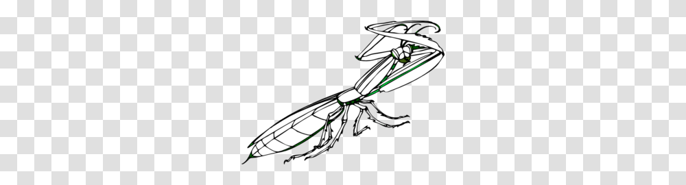 Praying Mantis Clip Art, Insect, Invertebrate, Animal Transparent Png