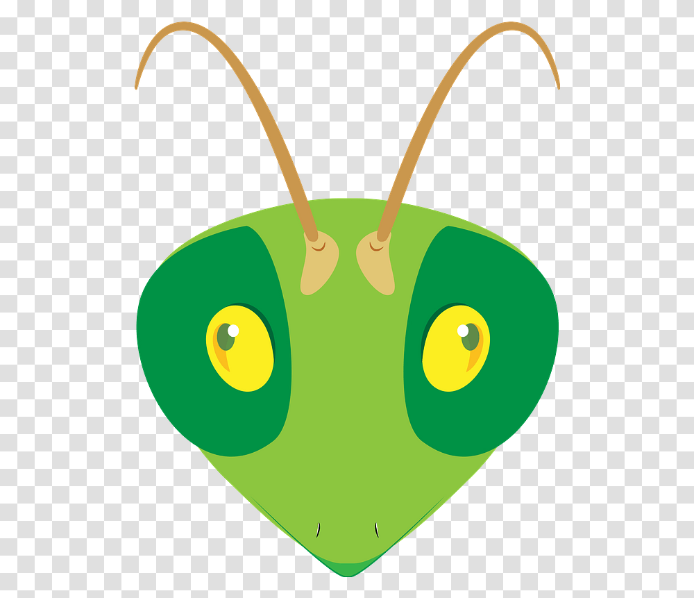 Praying Mantis Face Clipart Happy, Animal, Insect, Invertebrate, Lawn Mower Transparent Png