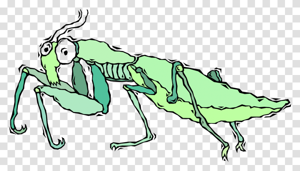 Praying Mantis Insect, Animal, Invertebrate, Reptile, Horse Transparent Png