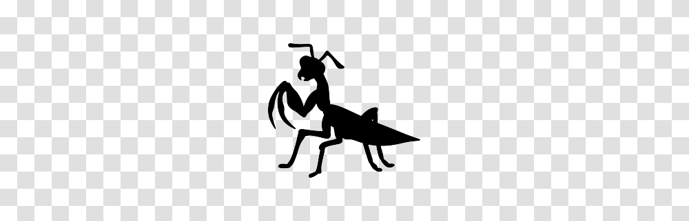 Praying Mantis Silhouette Silhouette Stuff, Stencil, Hoe, Tool Transparent Png