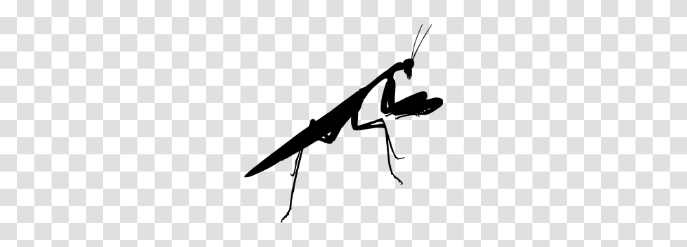 Praying Mantis Stickers Decals, Bow, Invertebrate, Animal, Insect Transparent Png