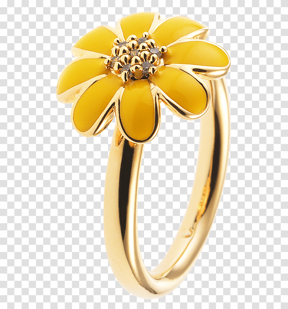 Pre Engagement Ring, Gold, Jewelry, Accessories, Accessory Transparent Png