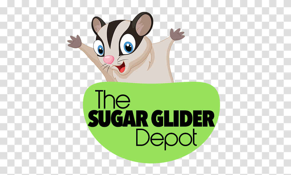 Pre Made Toy Store United States Sugar Glider Depot, Poster, Advertisement, Flyer, Paper Transparent Png