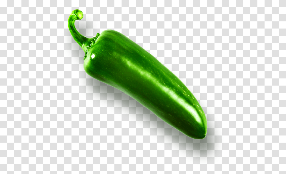 Precio De Chile Zucchini, Plant, Vegetable, Food, Pepper Transparent Png