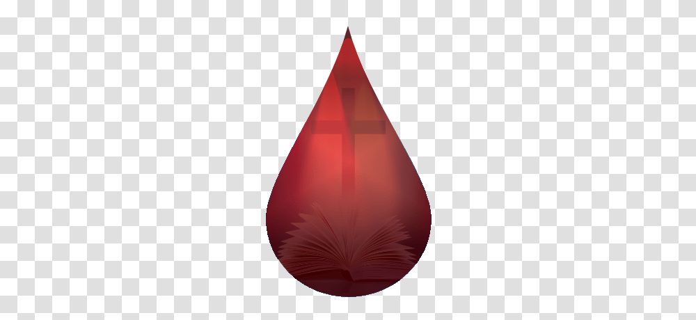 Precious Blood Roman Catholic Parish, Lighting, Balloon, Plant, Cone Transparent Png