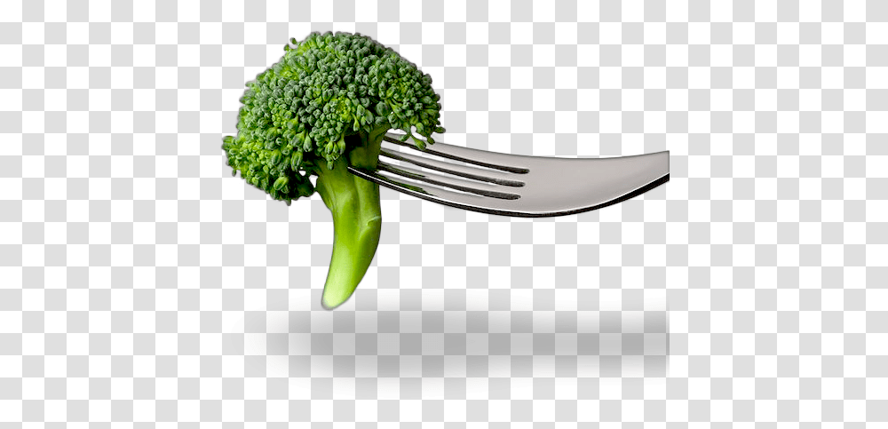 Preconceive Fork Broccoli, Plant, Cutlery, Vegetable, Food Transparent Png