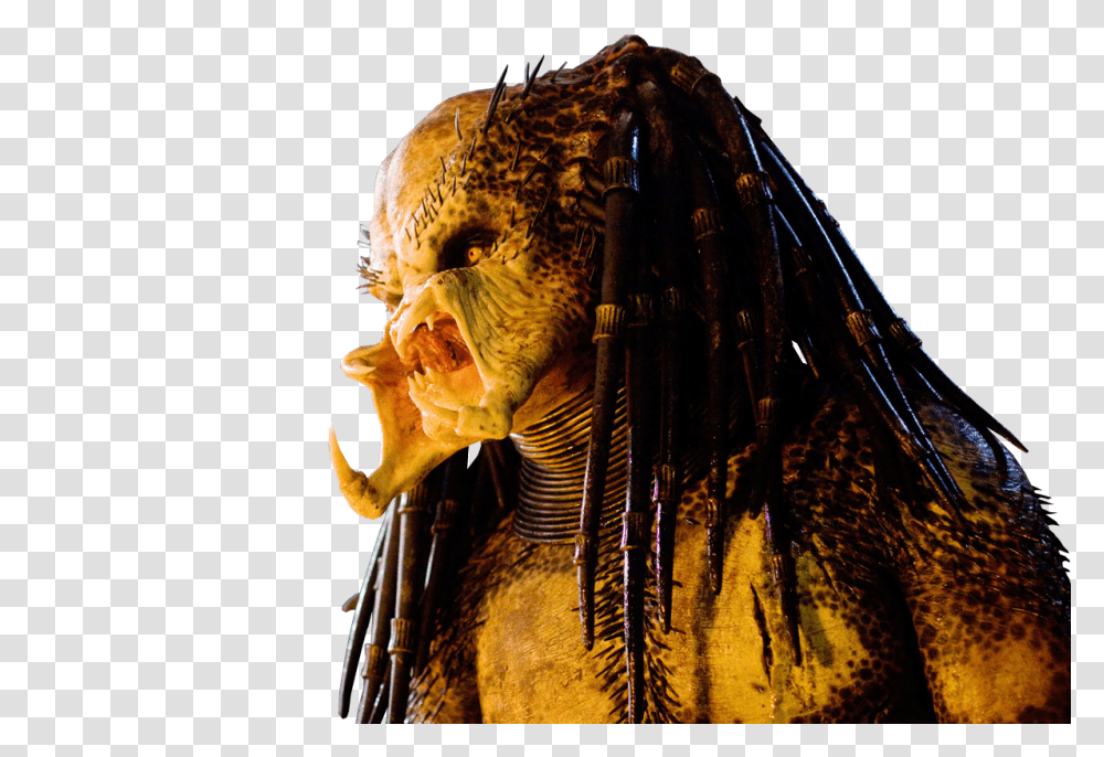 Predator, Character, Alien, Head, Dinosaur Transparent Png